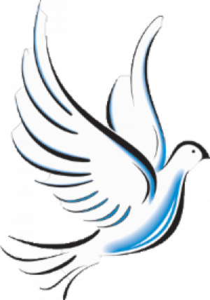 Peace of Mind Facility and Home Services