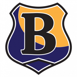 Bullock Protection LLC